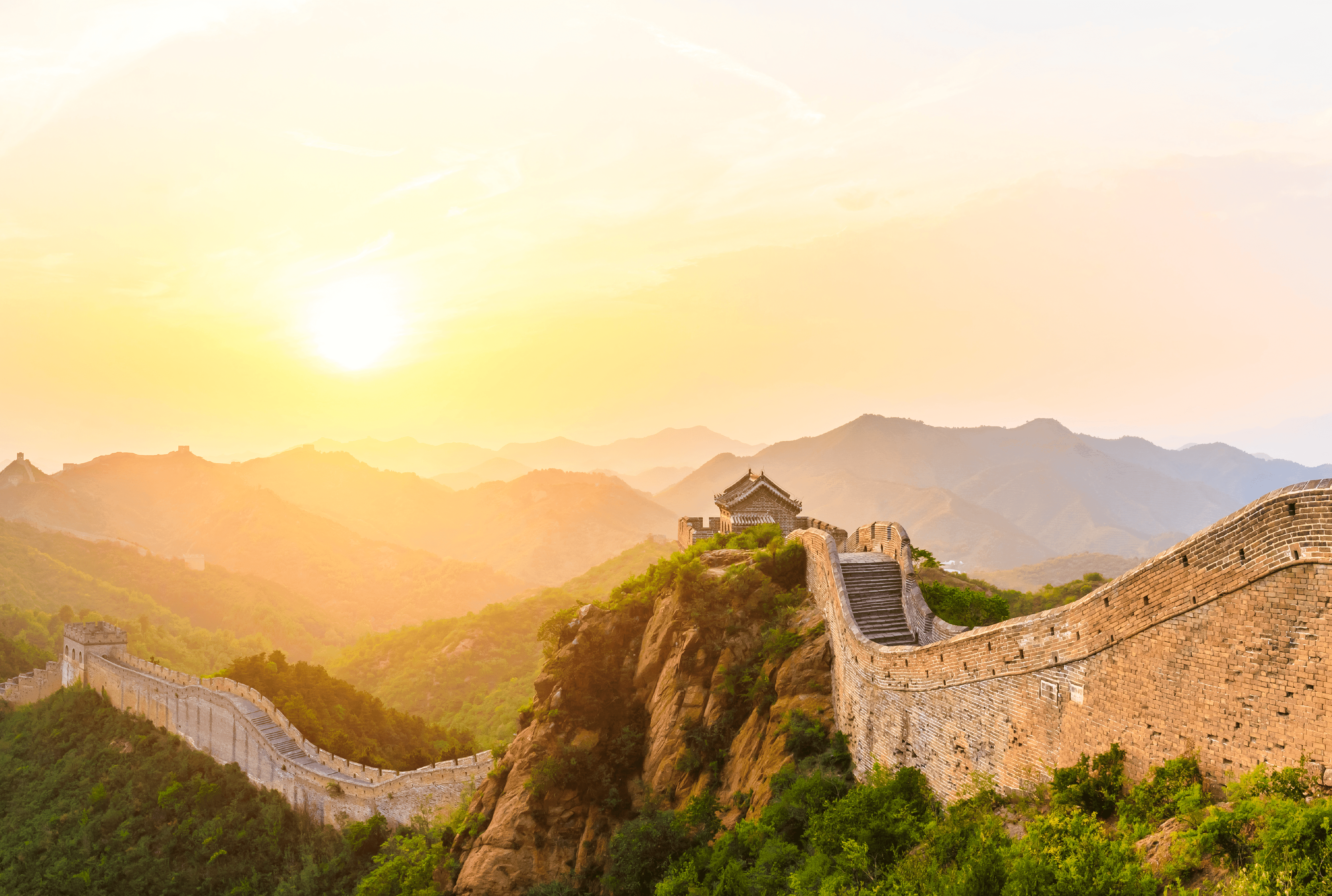 GIG EXTENSIONES 41 1